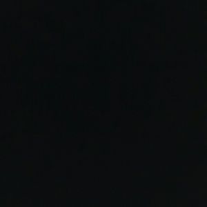 Meet your Posher, Audrey