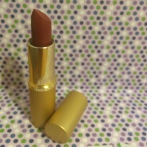 NEW Mary Kay Lipstick, shade: Spice Island