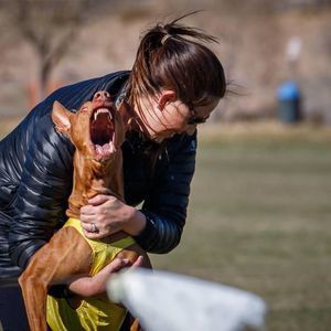 Meet your Posher, Darci