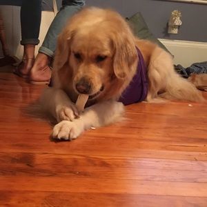 Meet your Posher, Maddie