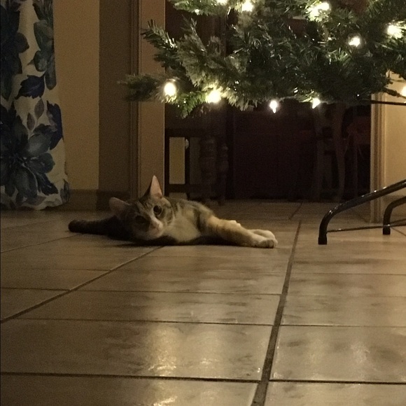 Meet your Posher, Clare - Picture 1 of 1