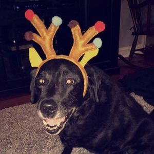 Meet your Posher, Lynn