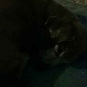 Meet your Posher, Melinda