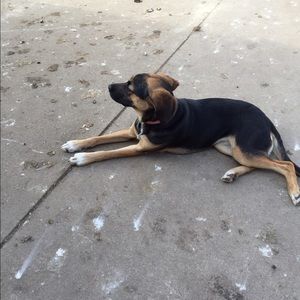 Meet your Posher, Donna