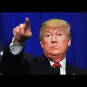 Meet your Posher, Patrick