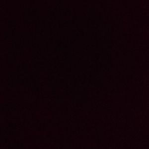 Meet your Posher, Payton