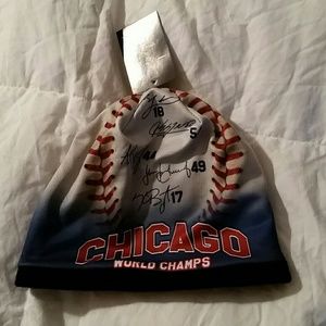 Chicago World Champs Cubs Knit Beanie!