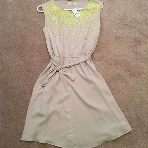Loft xs sequin dress NWT