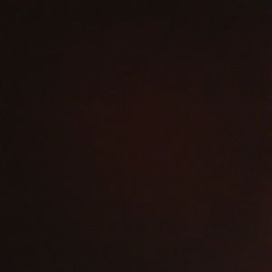 Meet your Posher, Antonio