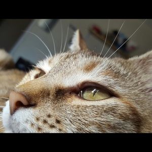 Meet your Posher, Ty