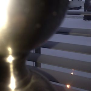 Meet your Posher, Bella