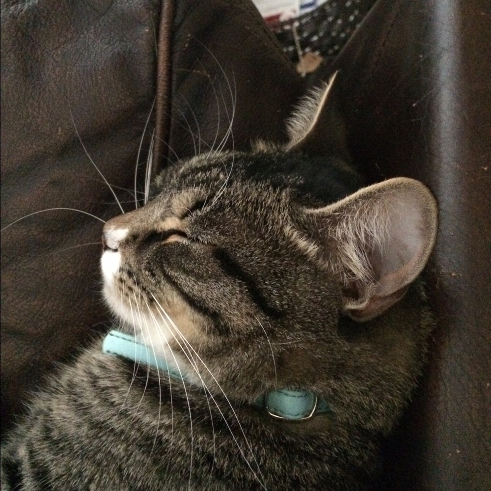 Meet your Posher, Katrina