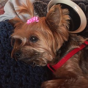 Meet your Posher, Patricia