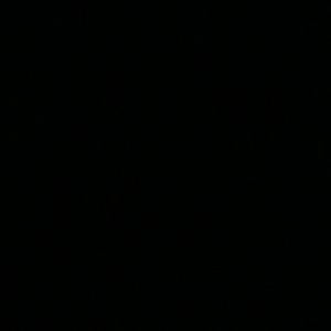 Meet your Posher, Valair