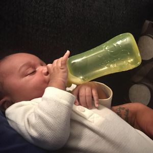 Meet your Posher, Wilbert