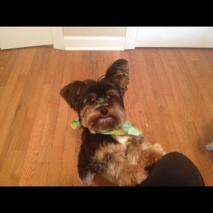 Meet your Posher, Kerri