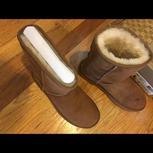 Chestnut Ugg Boots