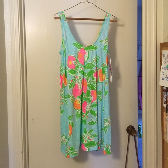 Lilly Pulitzer Dresses & Skirts - Lilly Pulitzer Carmel Dress