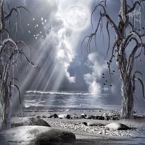 Meet your Posher, Shelly