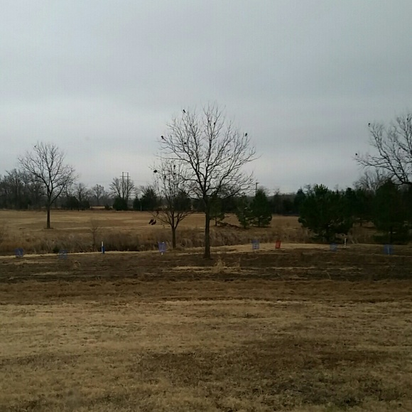 Meet your Posher, Ronda - Picture 1 of 1