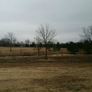 Meet your Posher, Ronda