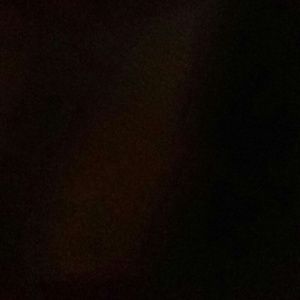 Meet your Posher, Tevin