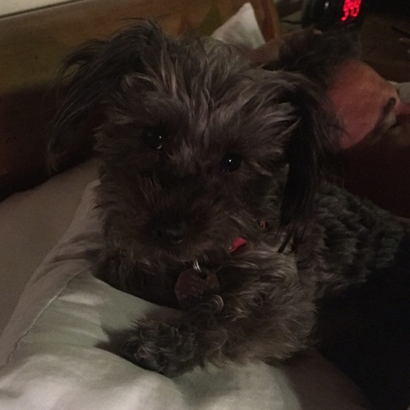 Meet your Posher, Kirsten - Picture 1 of 1