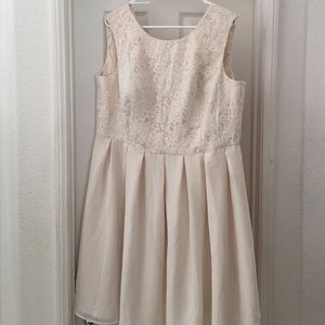 Elegant Lace Skater Dress