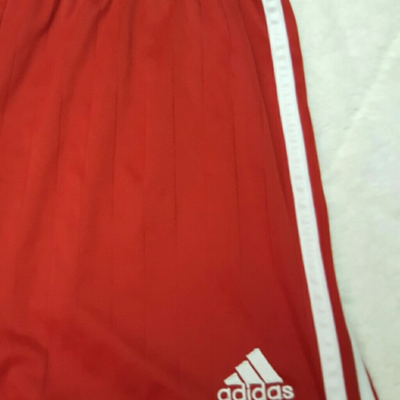 Adidas Shorts - Picture 3 of 3