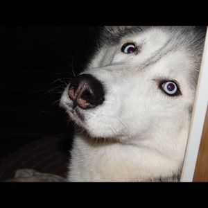 Meet your Posher, Leeann