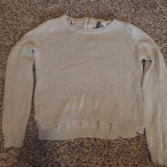 shimmery sweater