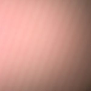 Meet your Posher, Viandre