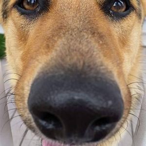 Meet your Posher, Jean