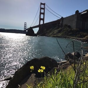 Meet your Posher, Morgan