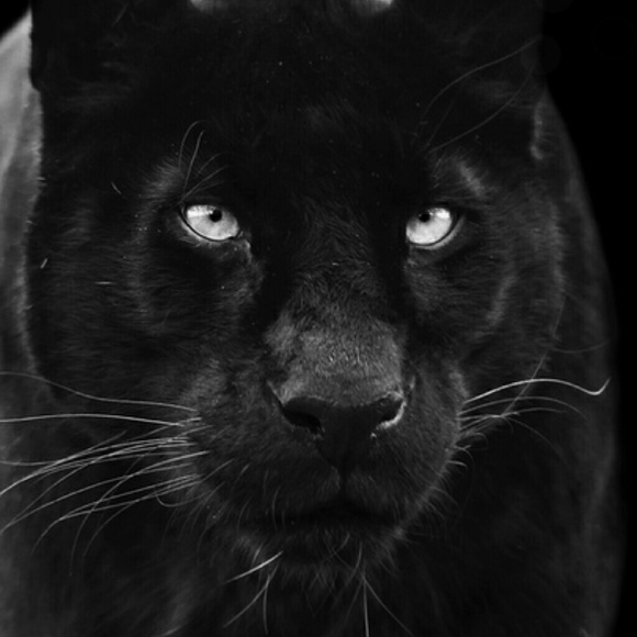 Meet your Posher, Stacie