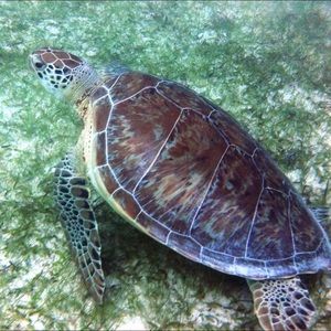 Meet your Posher, Kristin