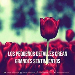 Meet your Posher, Marie