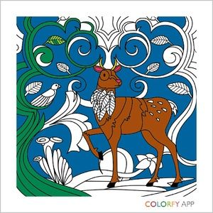 Meet your Posher, Erika