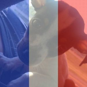 Meet your Posher, Zack