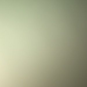 Meet your Posher, Alison