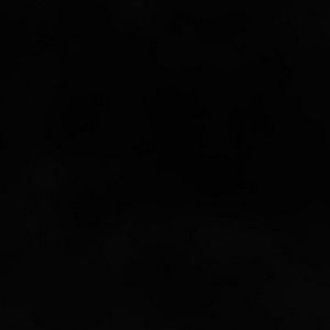 Meet your Posher, Jazzmine