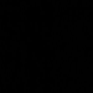 Meet your Posher, Alexandria