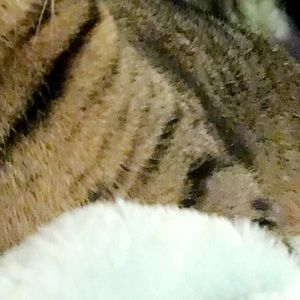 Meet your Posher, Gianna