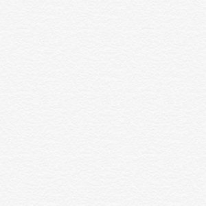 Meet your Posher, Kira