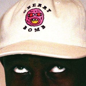 Meet your Posher, Torin