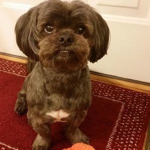 Meet your Posher, Denise