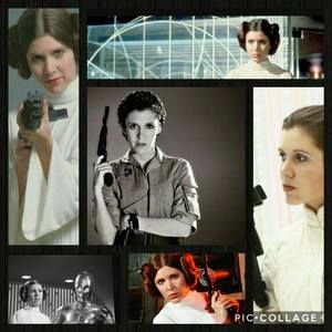 Meet your Posher, Alissa