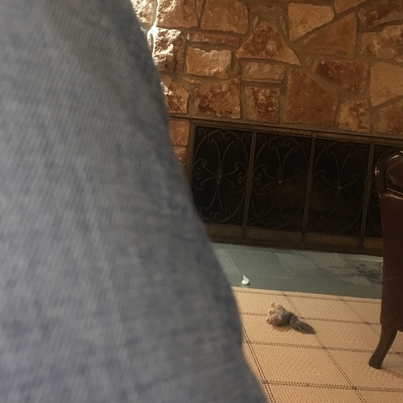 Meet your Posher, Stacy