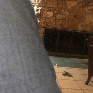 Meet your Posher, Stacy