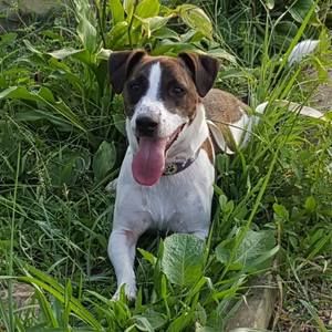 Meet your Posher, Kelli